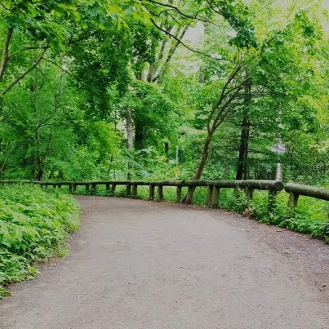 Forrest Park
